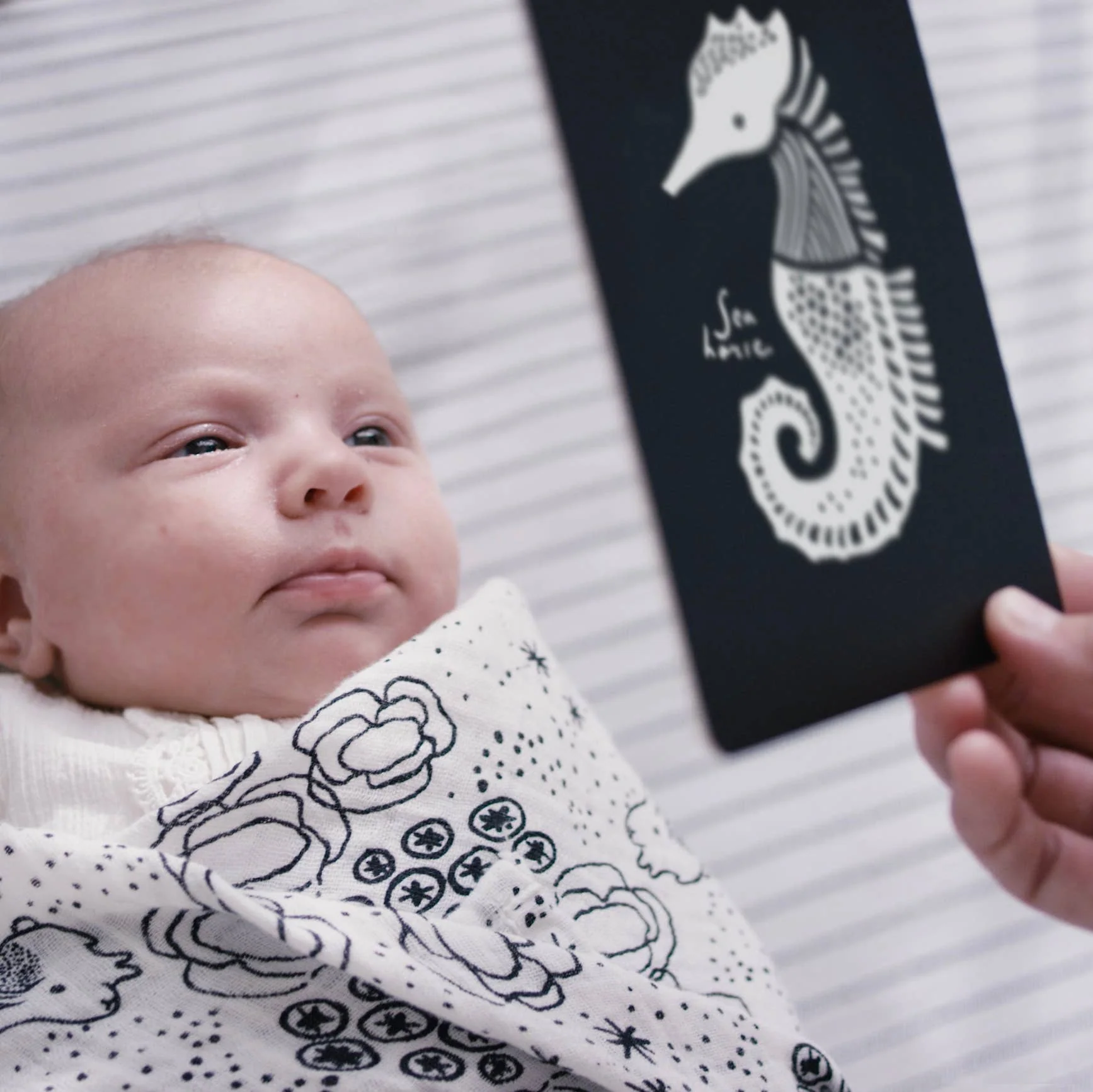 Art Cards for Baby - Ocean Animals - Infant Flash Cards - Image 2