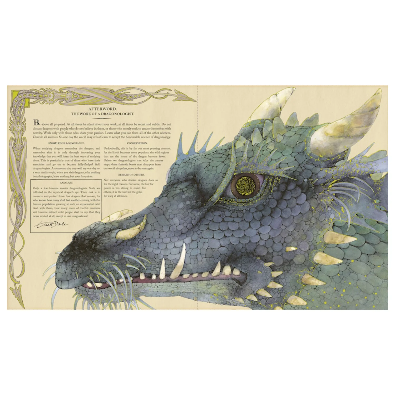 Dragonology: The Complete Book Of Dragons - Image 5