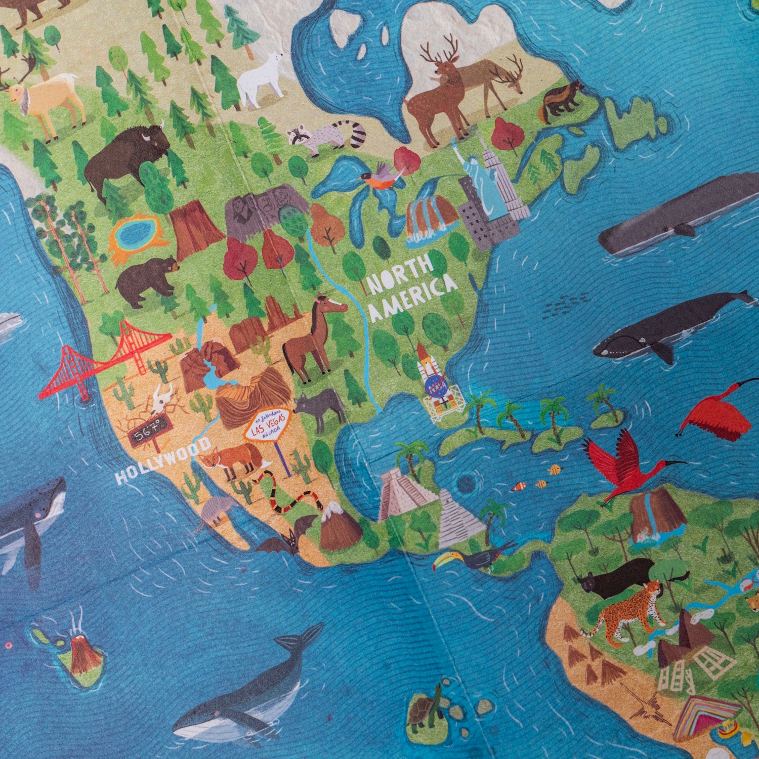 Londji Learn & Fun - Wonderful World - Image 4