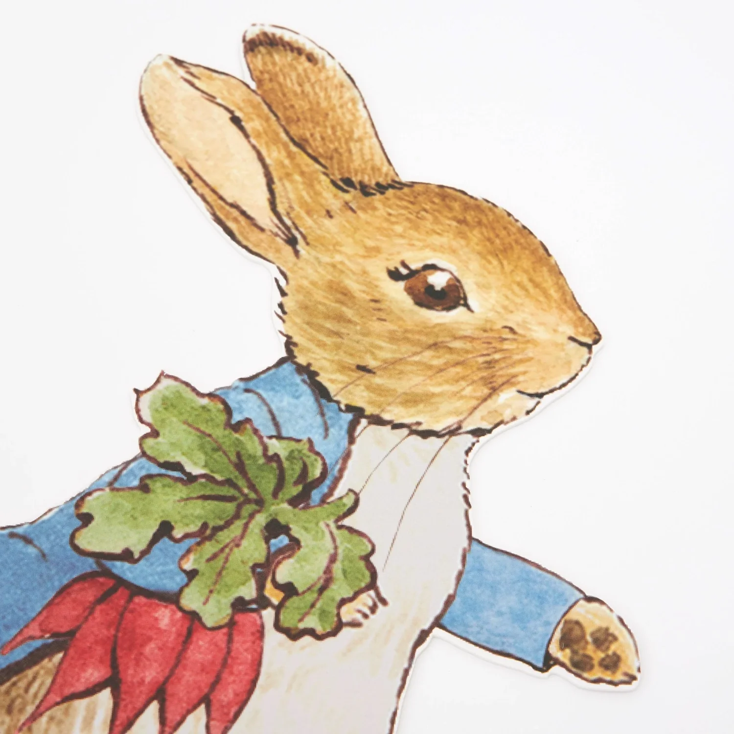 Peter Rabbit & Friends Egg Hunt Kit - Image 3