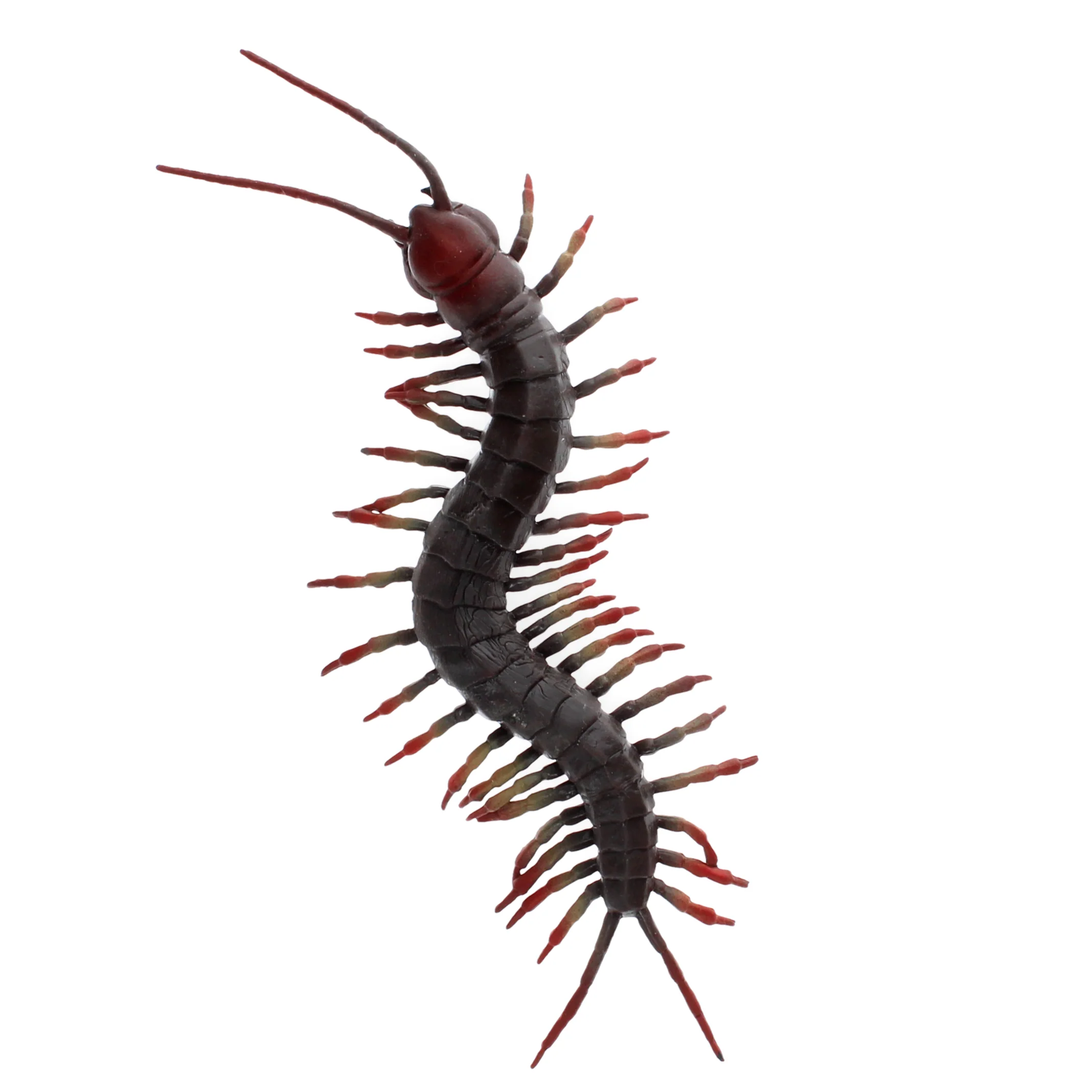 Realistic Centipede Toy - Image 3