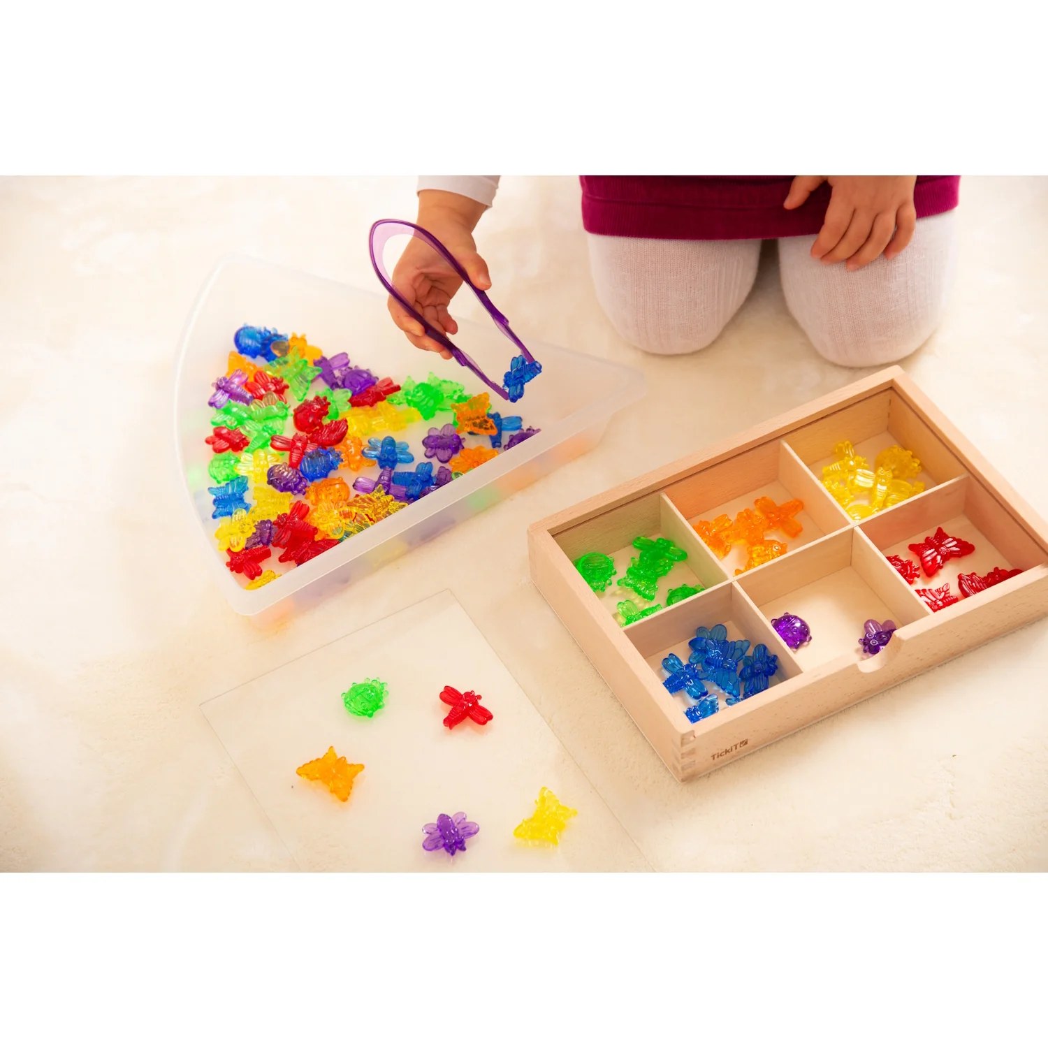 Translucent Colour Bugs - Image 6