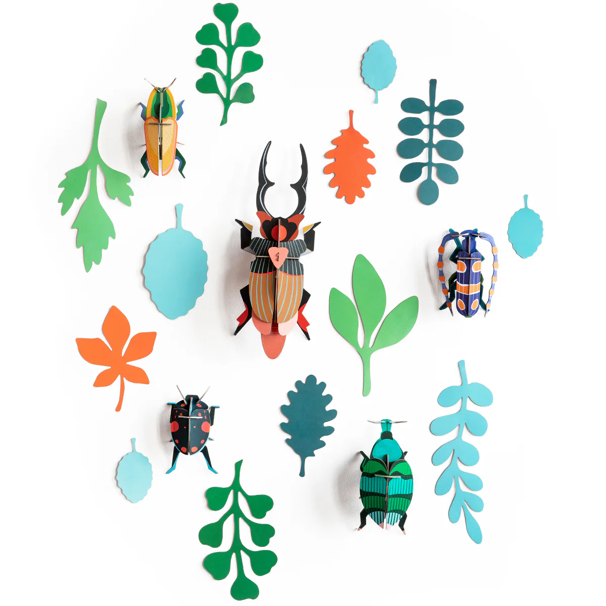 Wall of Curiosities - Beetle Antiquary - Image 3
