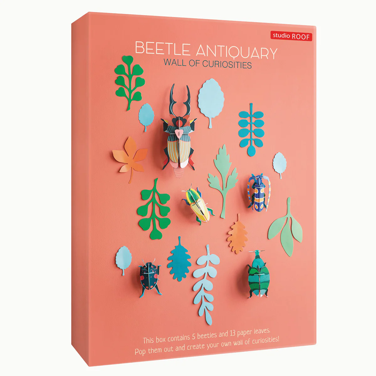 Wall of Curiosities - Beetle Antiquary - Image 4