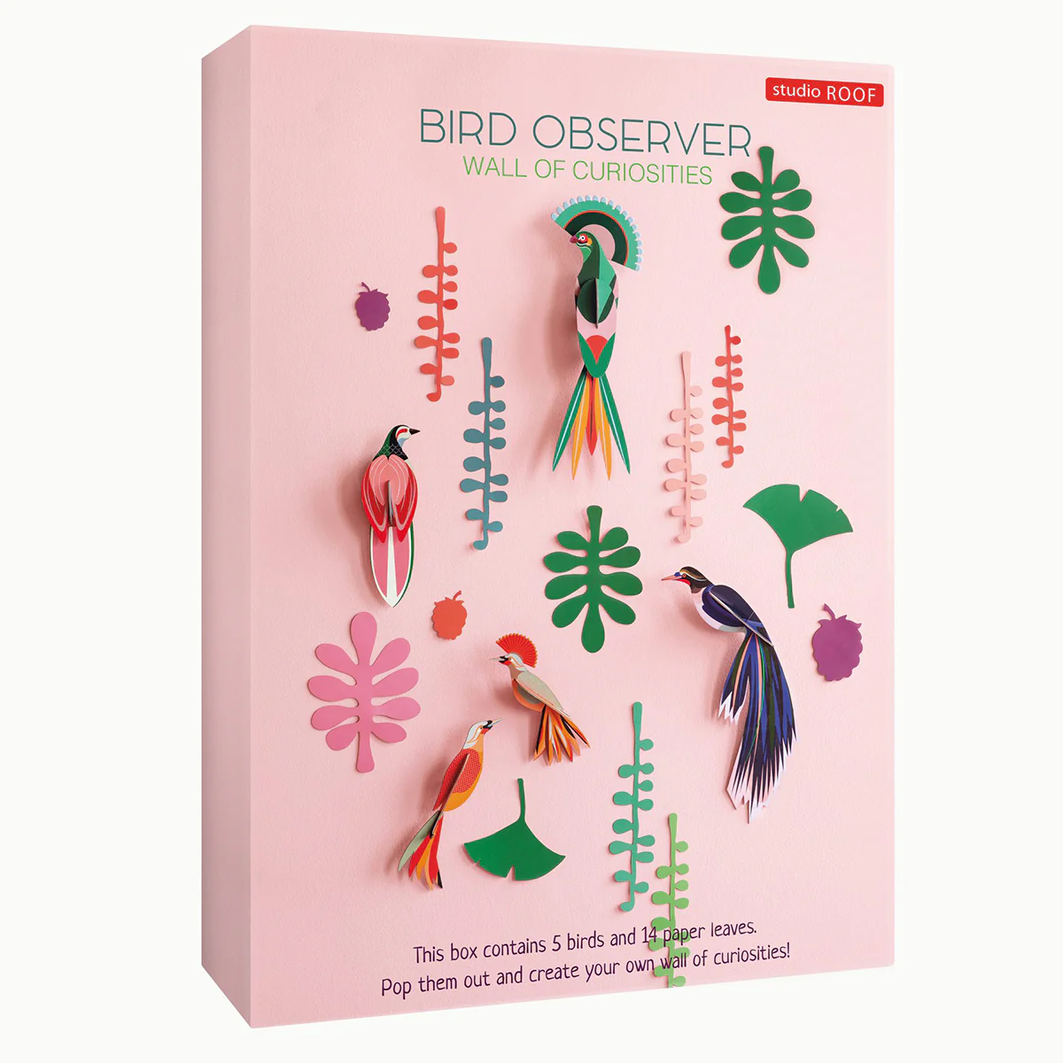 Wall of Curiosities - Bird Observer - Image 3