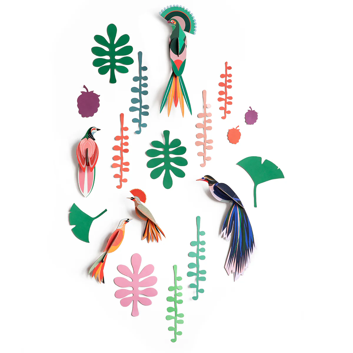 Wall of Curiosities - Bird Observer - Image 4